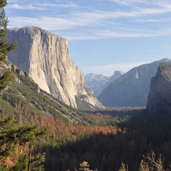 Meet your Posher, Sarah - Picture 1 of 1